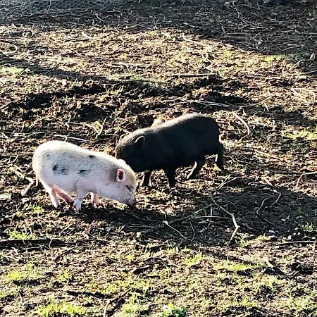 5 Star In Grindsted-by Traum Grindsted